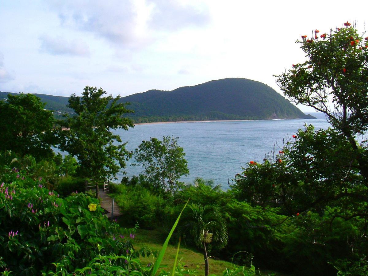 Bed and Breakfast La Baie du Bonheur Deshaies Exterior foto